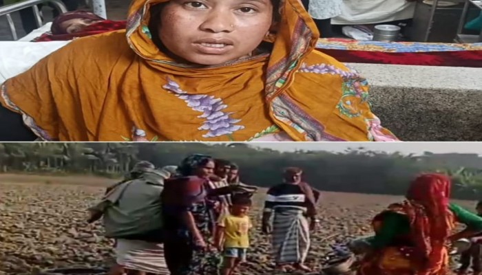 হিজলায় জমি সংক্রান্ত বিরোধে প্রবাসীর স্ত্রীকে মারধর।