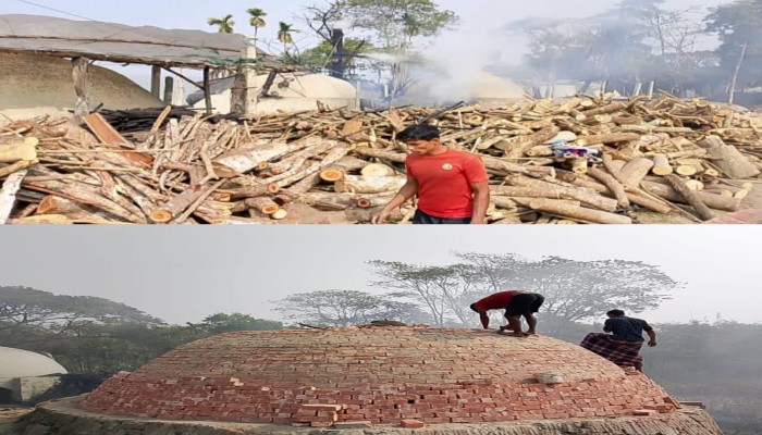বরগুনায় প্রভাবশালীদের ছত্রচ্ছায়ায় অবৈধ চুল্লি'র ১০টি ‘মরন ফাঁদ