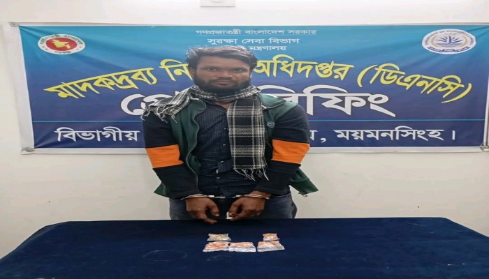 ময়মনসিংহে ৩৯০ পিস ইয়াবাসহ ১জন গ্রেফতার