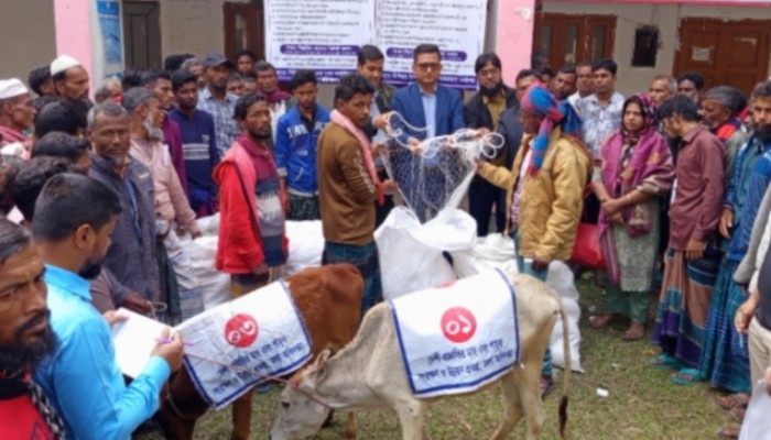 মুলাদীতে নিবন্ধিত জেলেদের মাঝে বৈধ জাল ও বকনা বাছুর বিতরন ॥