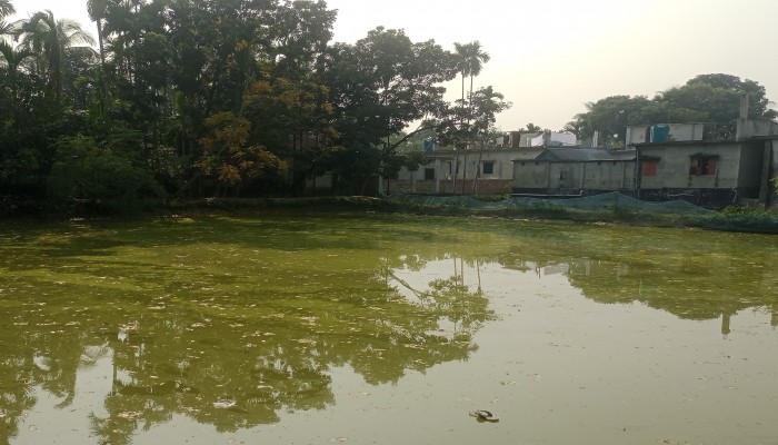 পুকুর দখলকে কেন্দ্র করে ত্রিশালে রক্তক্ষয়ী সংঘর্ষ দেশীয় অস্ত্রের হামলায় নারীসহ আহত ২, লুটের অভিযোগ