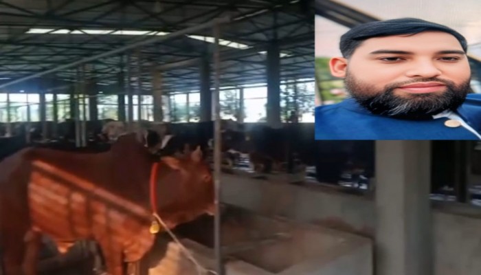 ঘুষ দুর্নীতি অনিয়মের টাকায় আয় করের নোটিশ সার্ভার শফিকুল ইসলাম শত কোটি টাকার মালিক