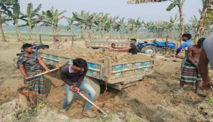 বদলগাছীতে এসিল্যান্ডকে ম্যানেজ করে,প্রকাশ্য দিবালোকে চলছে অবৈধভাবে ভিটা মাটি কাটা