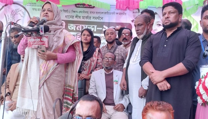 দেশজুড় উন্নয়নের নতুন অধ্যায় সূচিত হবে — তাহসিনা রুশদি লুনা