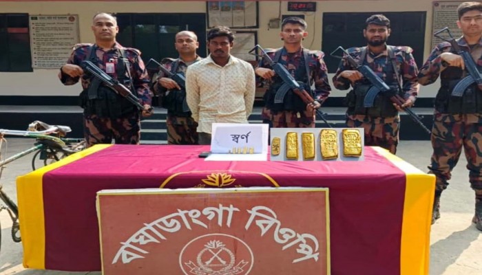 ​ঝিনাইদহ সীমান্তে ৭৭ লাখ টাকার স্বর্ণসহ চোরাকারবারি আটক