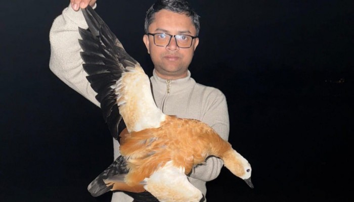 কুড়িগ্রামে সার্কেল এএসপির অভিযানে বিলুপ্তপ্রায় পরিযায়ী হাঁস উদ্ধার ও অবমুক্ত