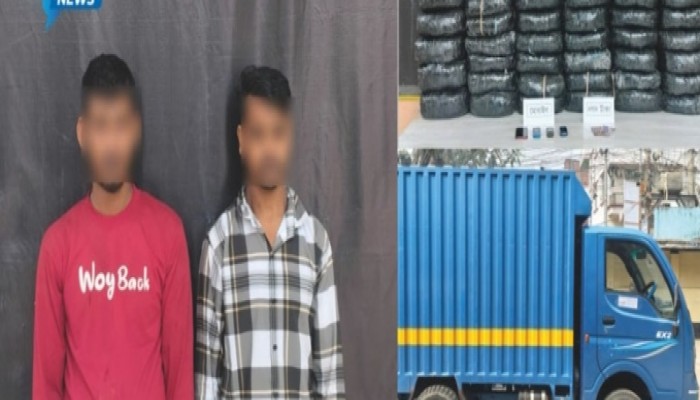 ​বুড়িচংয়ে ২ মন গাঁজাসহ দুই মাদক কারবারি গ্রেফতার