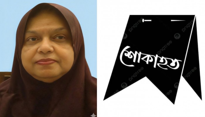 ​নাসরিন হকের মৃত্যুতে বরিশাল-২ আসনের সাবেক এমপি মনি'র শোক