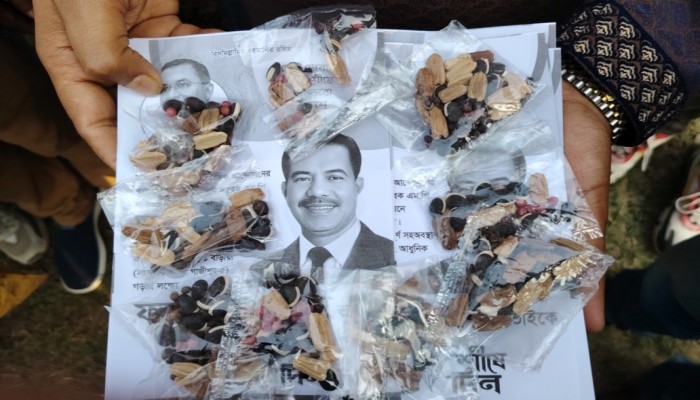 ​বীজে বীজে ভোটের বার্তা: কালীগঞ্জে মিলনের পক্ষে তারুণ্যের ব্যতিক্রমী প্রচারণা