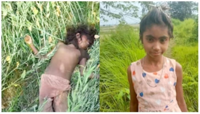 হবিগঞ্জে সরিষা ক্ষেতে শিশুর মরদেহ