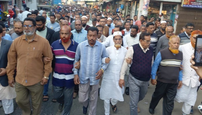 প্রতিমন্ত্রী অনিন্দ্য ইসলাম অমিতকে শুভেচ্ছা জানিয়ে মণিরামপুরে বিএনপির আনন্দ মিছিল