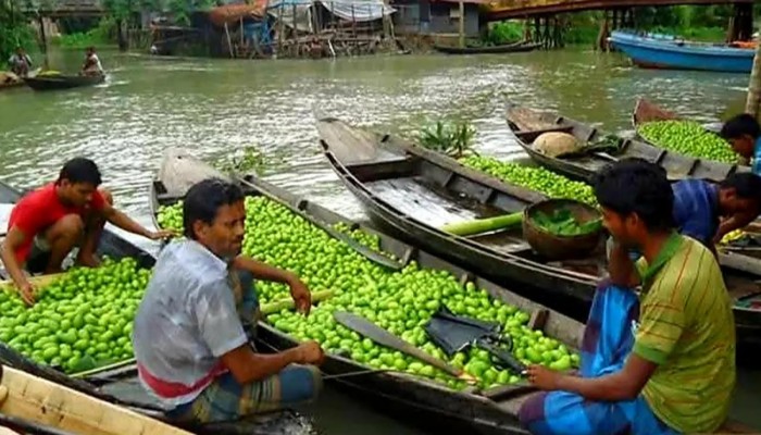 ​লেবুর রাজ্যখ্যাত ঝালকাঠিতে লেবুর আকাল, রমজানে দ্বিগুণ দাম
