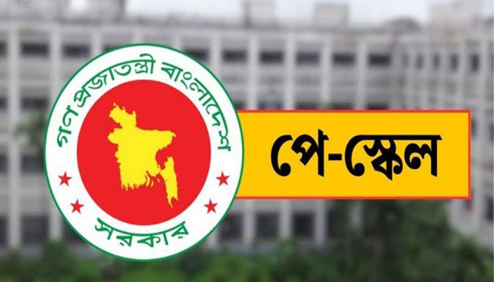 পে স্কেল বাস্তবায়নের দাবিতে আল্টিমেটাম, নতুন কর্মসূচি ঘোষণা