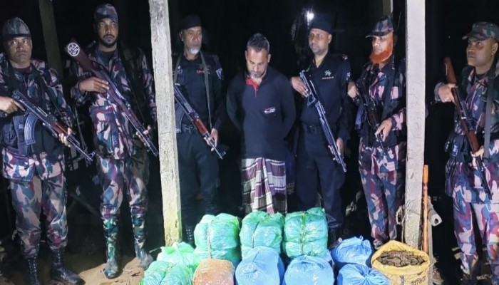 ব্রাহ্মণবাড়িয়ায় বিজিবি এবং র‌্যাব এর যৌথ অভিযানে বিপুল পরিমানে ভারতীয় গাঁজাসহ ব্যবসায়ী আটক
