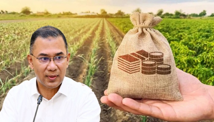 প্রতিশ্রুতি রাখলো বিএনপি সরকার, ১০ হাজার টাকা পর্যন্ত কৃষিঋণ মওকুফের সিদ্ধান্ত