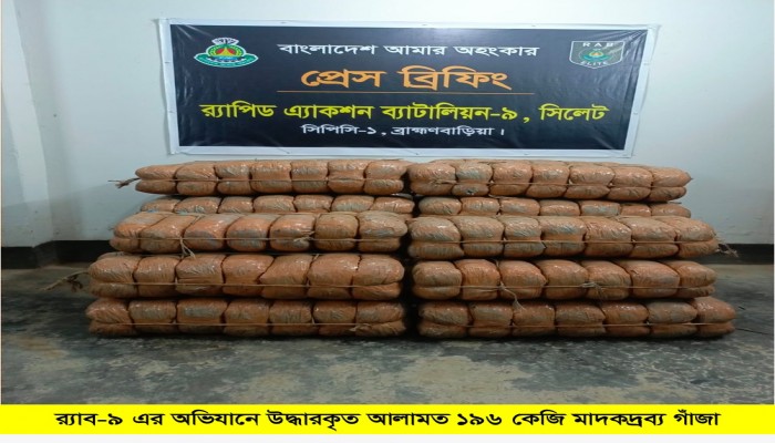 ​র‌্যাব-৯ এর অভিযানে ব্রাহ্মণবাড়িয়ার বিজয়নগর থেকে ১৯৬  কেজি গাঁজা উদ্ধার