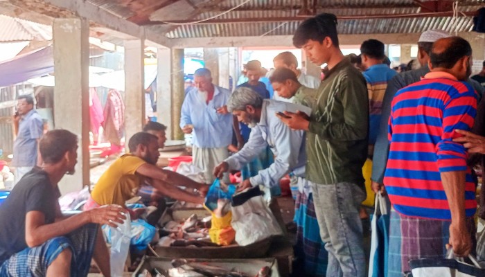 কাউখালীতে মাছ-মাংসের দাম ক্রেতাদের নাগালের বাহিরে চলে গেছে/সাধারণ ক্রেতাদের দুর্ভোগ