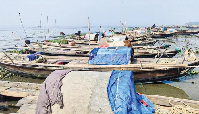 আজ মধ্যরাত থেকে বন্ধ হচ্ছে পদ্মা-মেঘনায় ইলিশ ধরা