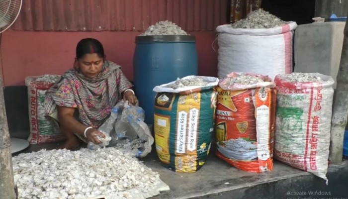 কুড়িগ্রামে মাছের উচ্ছিষ্ট আঁশ বিদেশে রপ্তানী হচ্ছে