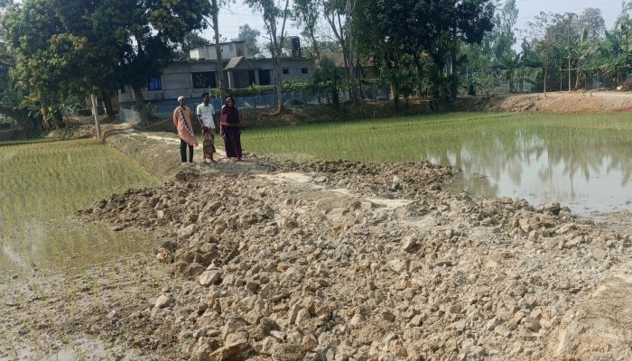 ভালুকায় পারিবারিক বিরোধের জেরে সরকারী রাস্তা কেটে ফেলার অভিযোগ