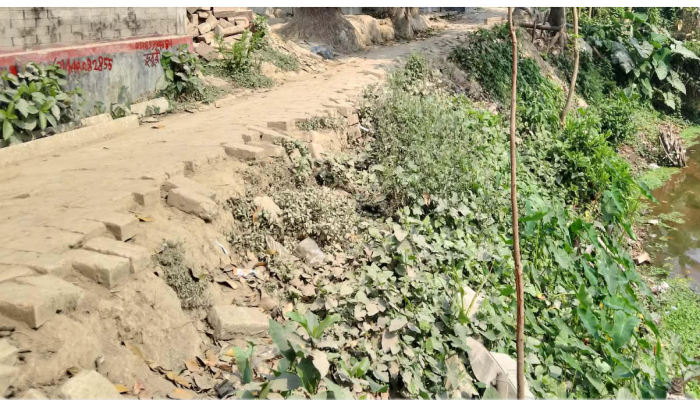 দীর্ঘ দুই যুগেও উন্নয়নের কোনো ছোঁয়া লাগেনি রায়গঞ্জের গ্রামপাঙ্গাসী এলাকায়