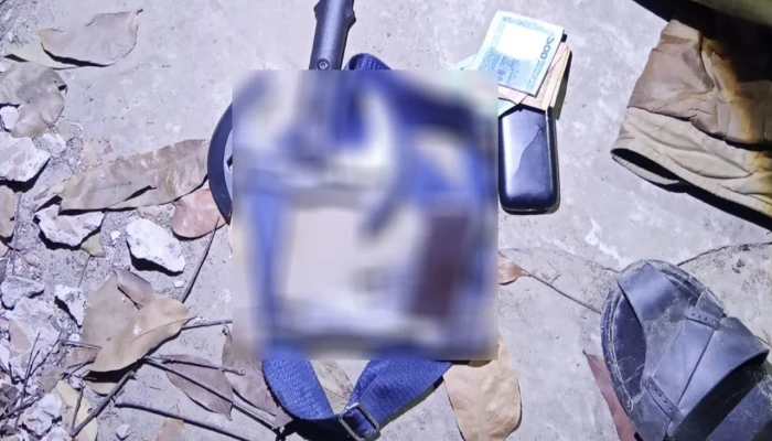 ঈশ্বরদীতে গভীর রাতে ছিনতাই, পিস্তল ও অস্ত্র ফেলে পালাল দুর্বৃত্তরা