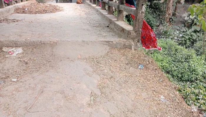 মেঘনায় প্রকল্পের টাকা আত্মসাতের অভিযোগ তদন্তের নির্দেশ