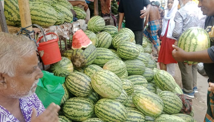 রমজানে ব্রাহ্মণপাড়ায় তরমুজের চাহিদা বেড়েছে