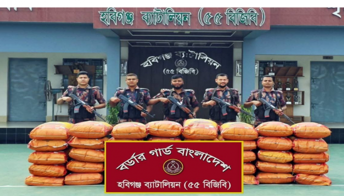 ‎হবিগঞ্জ সীমান্তে বিজিবির অভিযানে ৬৬ লাখ টাকার ভারতীয় পণ্য ও গরু জব্দ