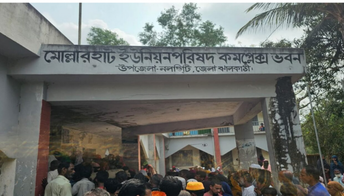 ​ঝালকাঠিতে বন বিভাগের গাছ কাটা বন্ধের দাবিতে মানবন্ধন