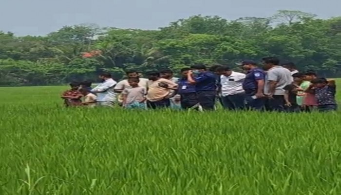কালকিনিতে নিখোঁজের ১০ দিন পর ধানক্ষেতে মিলল অর্ধগলিত মরদেহ