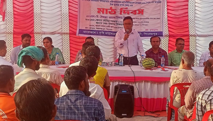 কাউখালীতে কৃষি সম্প্রসারণ অধিদপ্তরের উদ্যোগে মাঠ দিবস অনুষ্ঠিত