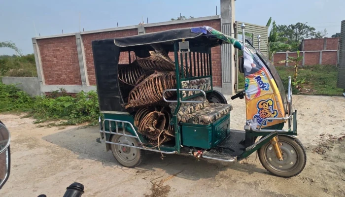 পূর্বাচলে গরুর নামে বিক্রি হচ্ছে ঘোড়ার মাংস