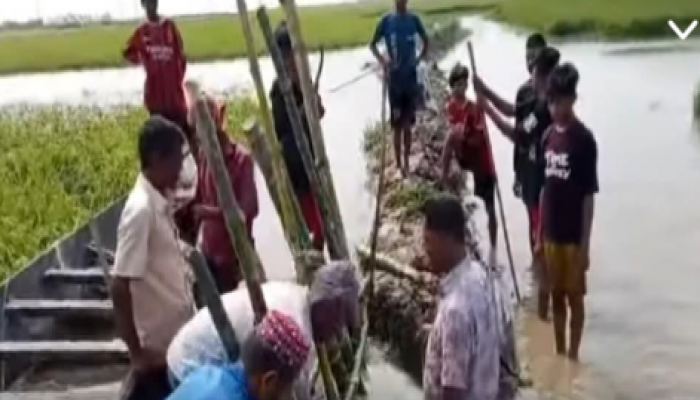 হবিগঞ্জে হাওড়ের বাঁধ ভেঙে বিপর্যয়ের শঙ্কা: পানিতে তলিয়ে যাচ্ছে বোরো ধান, ৩০০ একর প্লাবিত