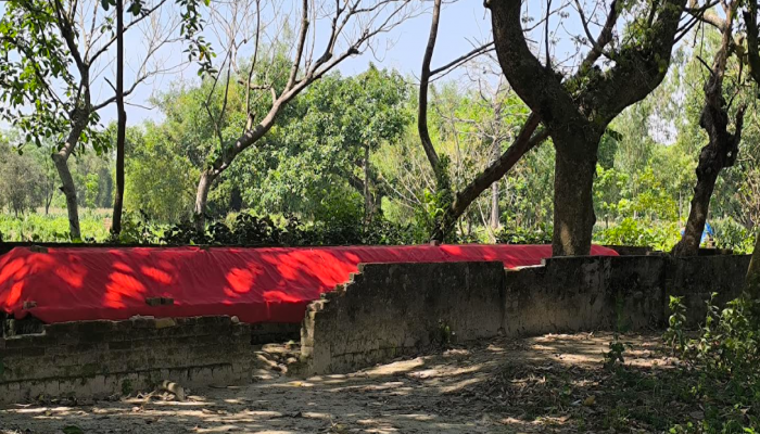 ইতিহাস নয়-বিশ্বাসেই টিকে আছে শিয়ালগাজীর দারগাপীর:রাণীশংকৈলে রহস্যময় এক জনপদ