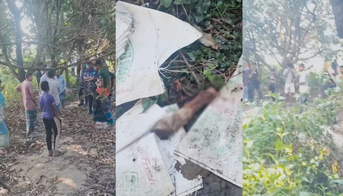 গজারিয়ায় পরিত্যক্ত ঘর থেকে ১৩ ঘোড়ার জবাইকৃত মাংস উদ্ধার