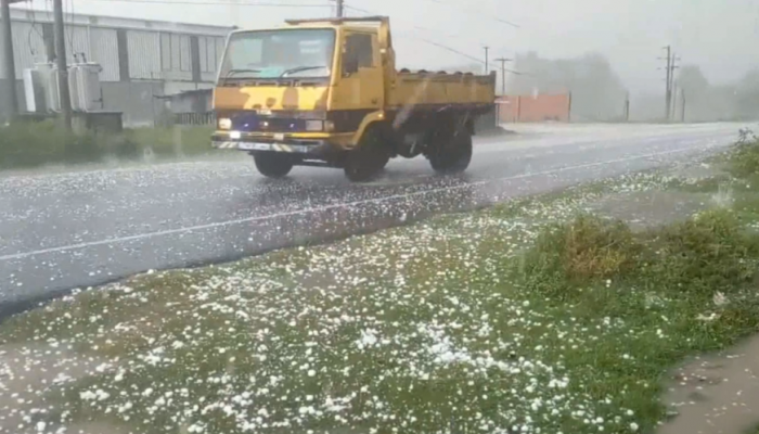 ফুলবাড়ীতে শিলাবৃষ্টিতে ফসলের ব্যাপক ক্ষতি