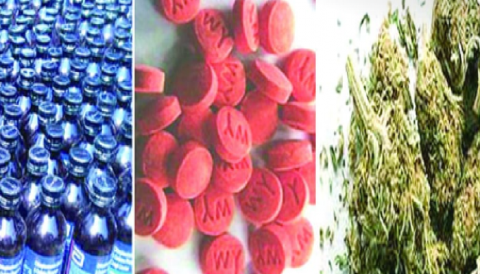 ​বরিশালের বাকেরগঞ্জে হাত বাড়ালেই মিলছে মাদক: অভিযান আছে, নেই প্রতিকার!