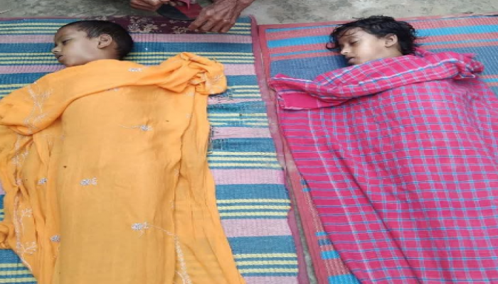 ​‎বানিয়াচংয়ে পুকুরে গোসলে ভাই-বোনের মৃত্যু, এলাকায় শোক