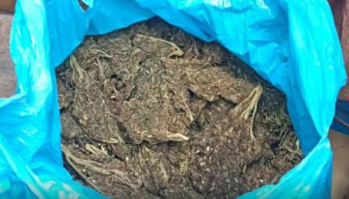 ​বাহুবলে যৌথ অভিযানে গাঁজা ও ইয়াবাসহ ব্যক্তি আটক