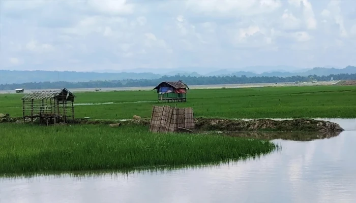 সীমান্তে স্থলমাইন বিস্ফোরণে উড়ে গেল রোহিঙ্গা যুবকের পা