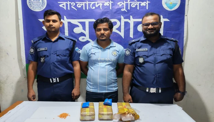 রামুতে ৩০ হাজার পিস ইয়াবা উদ্ধার, আটক ১