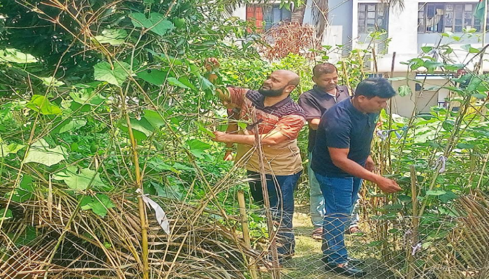 কাউখালী থানা প্রাঙ্গণে সবজি চাষ/ ওসির উদ্যোগে মেটানো হচ্ছে পুষ্টির চাহিদা
