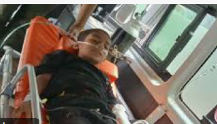 গাছ থেকে পাখির বাচ্চা ধরতে গিয়ে বিদ্যুৎস্পৃষ্ট, ব্রাহ্মণপাড়ায় শিশু আহত