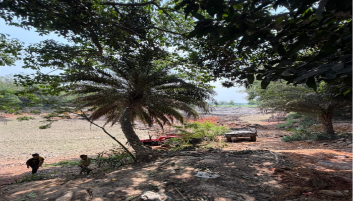 ​কালীগঞ্জে কৃষিজমি কেটে পুকুর তৈরির চেষ্টা, ভ্রাম্যমান আদালতে ২ লাখ টাকা জরিমানা