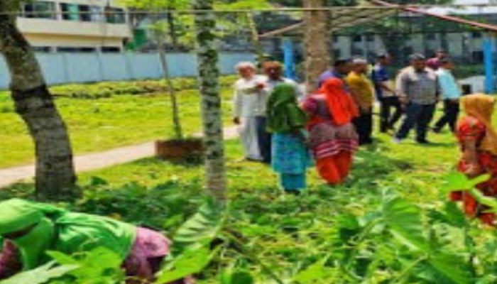 কাউখালীতে ডেঙ্গু ও মশাবাহিত রোগ প্রতিরোধে প্রশাসনের সমন্বিত অভিযান