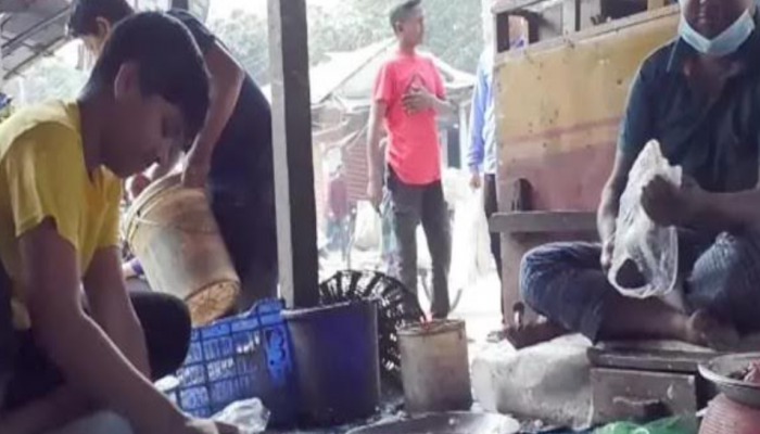 কুড়িগ্রামে মাছের আঁশ রপ্তানি, আয় হচ্ছে লাখ টাকা