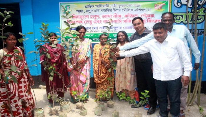 ​ফুলবাড়ীতে প্রান্তিক আদিবাসী নারী কৃষকদের মাঝে বিনামূল্যে গাছের চারা বিতরণ