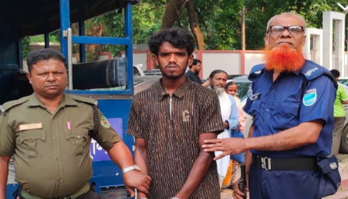 ​কালীগঞ্জে ভ্রাম্যমান আদালতের অভিযানে ৩ মাসের বিনাশ্রম কারান্ড