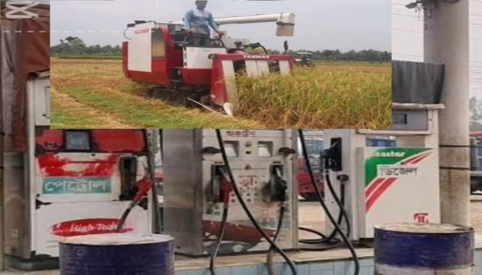 মদনে ডিজেল সংকটে ধান কাটায় দুশ্চিন্তায় কৃষক, অভিযোগ নেই-বললেন ইউএনও